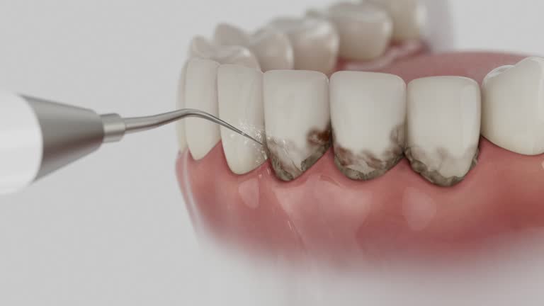 Reliable Dental contractor in Gulfport, FL by Dentist Open Now